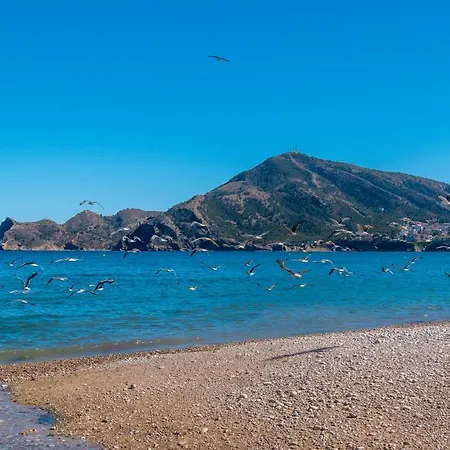 Campsite Vacanceselect Mobil Homes - Camping Almafra L'Alfas del Pi